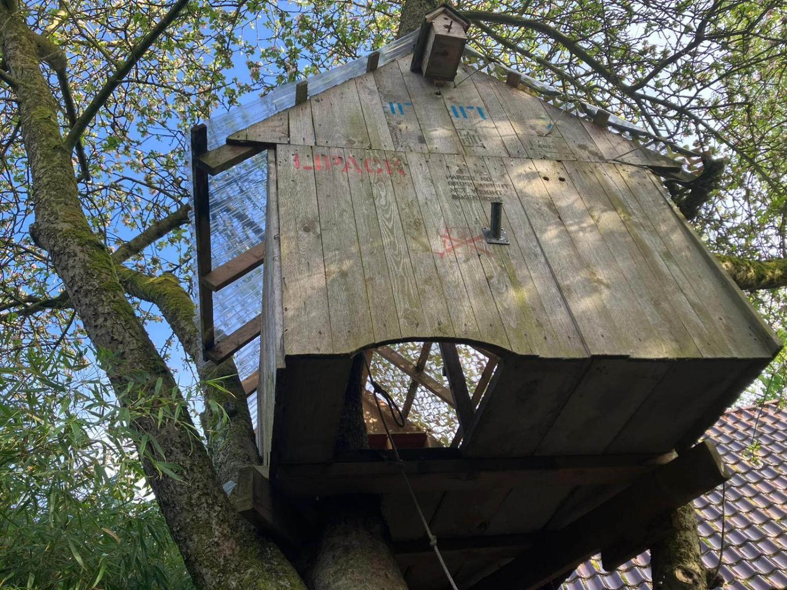 B En B Op Steendam, Tuinkamer Onder De Appelboom Exterior photo