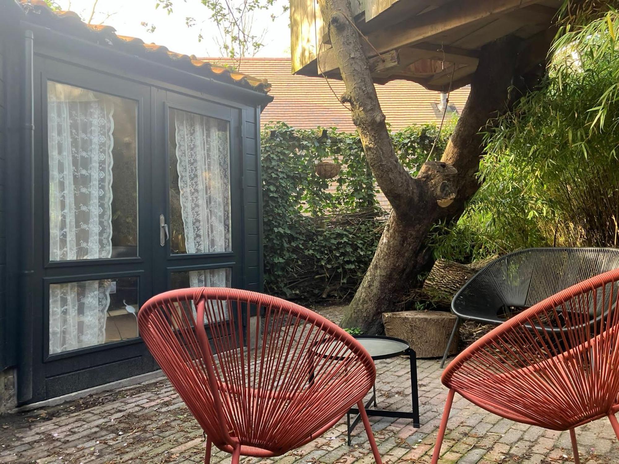 B En B Op Steendam, Tuinkamer Onder De Appelboom Exterior photo