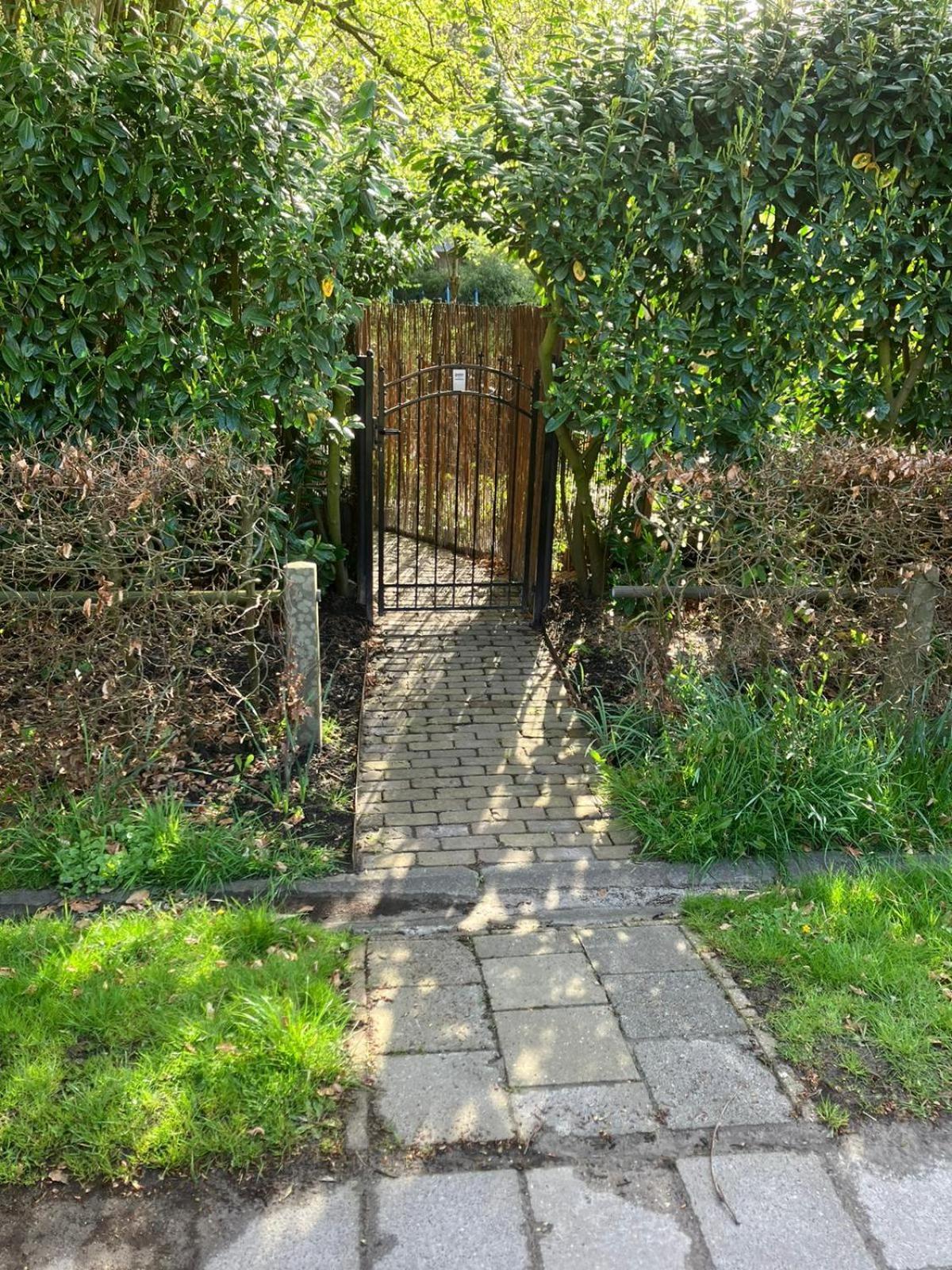 B En B Op Steendam, Tuinkamer Onder De Appelboom Exterior photo