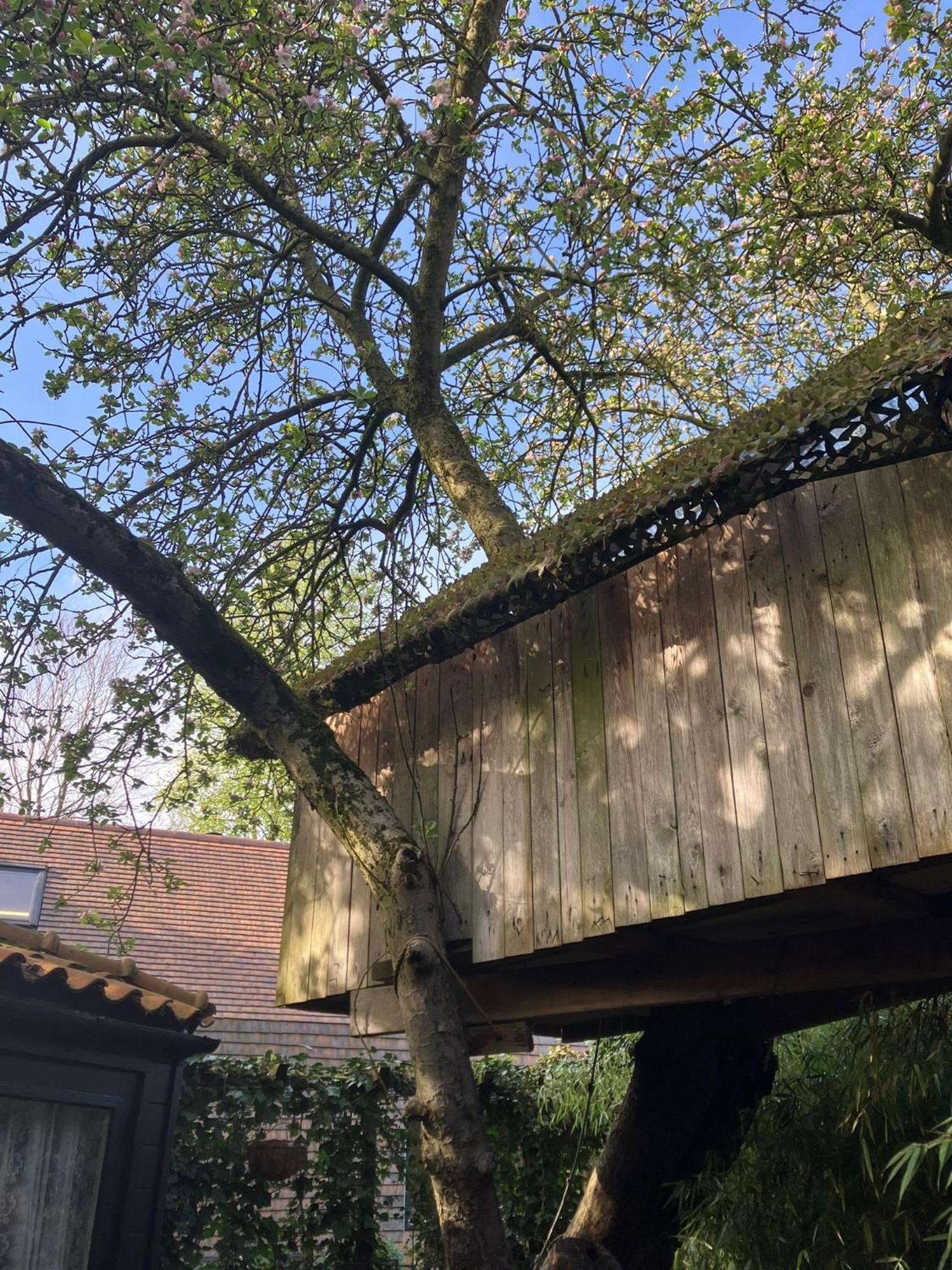 B En B Op Steendam, Tuinkamer Onder De Appelboom Exterior photo